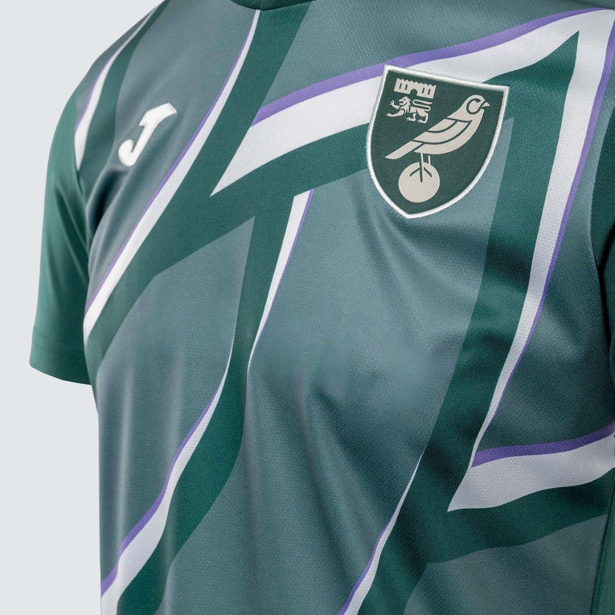 Camisa Joma Norwich II 25/26 Masculina