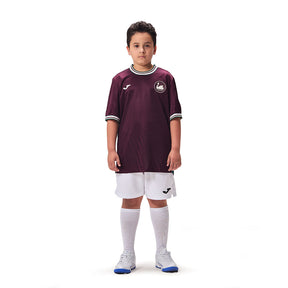 Camisa Joma Swansea II Infantil 25/26